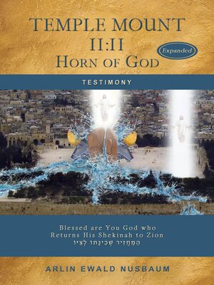 cover image of Temple Mount 11